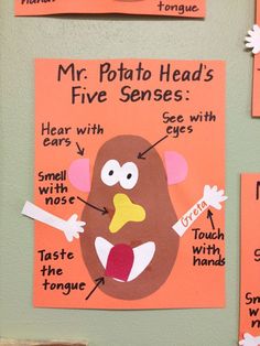 an image of a poster on the wall that says mr potato head's five sensees