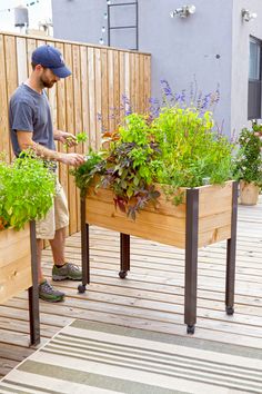 a man standing next to two wooden planters filled with plants