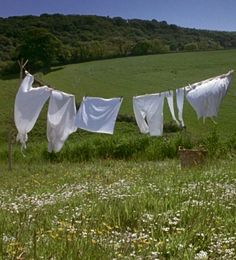 clothes hanging out to dry on a line in a field with wildflowers and grass