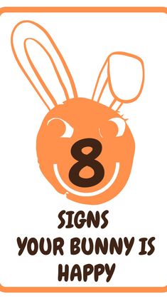 an orange bunny with the number eight on it's face and text reads, signs your bunny is happy