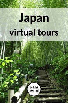 the steps leading up to an area with bamboo trees and plants on both sides, in japan