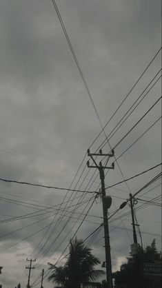 an intersection with telephone poles and palm trees in the background on a gloomy day