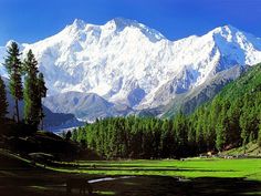 an advertisement for the national park in pakistan with mountains and pine trees behind it,