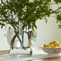 a glass vase filled with water sitting on top of a table next to a bowl of fruit