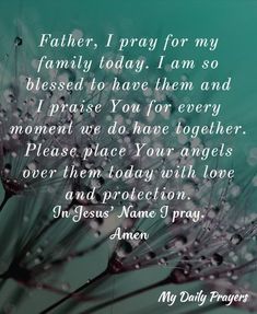 a dandelion with the words father, i pray for my family today