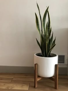 a potted plant sitting on top of a wooden stand