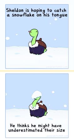 a comic strip with an image of a turtle sitting on top of another turtle in the snow