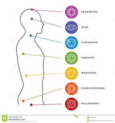 Human Body Chart, Chakras Meaning, 7 Chakras Meaning, Body Chart, Yoga Kurse, The Chakras, Seven Chakra, Human Body Systems