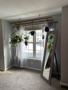 a mirror and some plants in front of a window with curtains on the windowsill