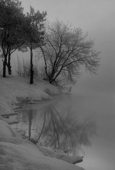 trees and snow are reflected in the water