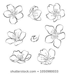 four different types of flowers in black and white, each with an individual's name