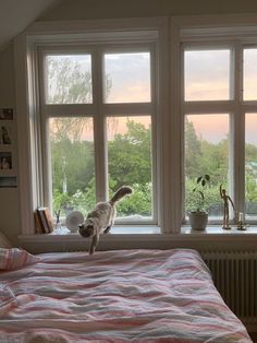 a cat standing on top of a bed next to a window with lots of windows