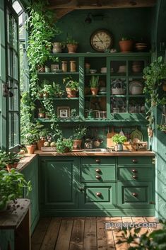 a green kitchen with lots of plants on the shelves and cupboards filled with potted plants