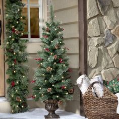 two christmas trees in front of a house