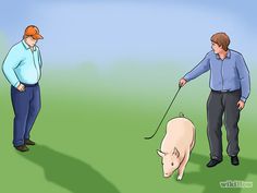 two men walking a pig on a leash