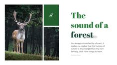 an advertisement for the sound of a forest featuring a deer in front of trees and text that reads, the sound of a forest