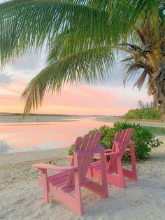 two pink chairs sitting on top of a beach next to a palm tree and water