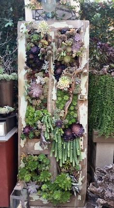 an old door covered in succulents and plants