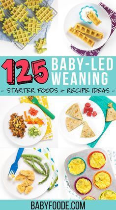 baby - led weaning meal ideas for babies and toddlers