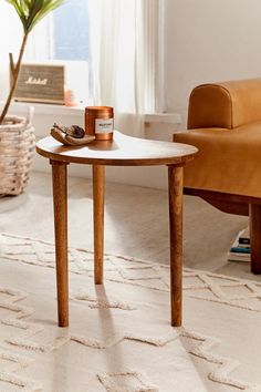 a living room filled with furniture and a plant in a vase on the side table