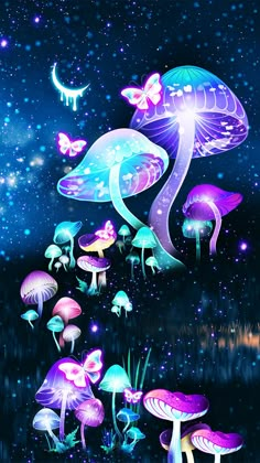 colorful mushrooms and butterflies in the night sky