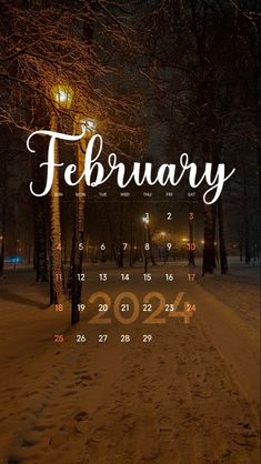 a calendar with the word february written on it in front of snow covered trees and street lights