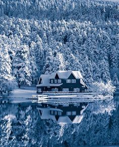 a house sitting on top of a lake surrounded by snow covered trees in the background