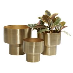 PRICES MAY VARY. GLAM PLANT POT: Indulge in the glamorous luxury of plush textures, dazzling details, and sleek finishes to elevate your home and add a sophisticated flair METAL OUTDOOR PLANTERS: This gold indoor outdoor planter set is made entirely of durable, high-quality iron, ensuring long-lasting use GOLD FLOWER POTS FOR INDOOR PLANTS: Round plant pot set boasts a luxurious satin gold finish that exudes elegance ROUND PLANTERS FOR OUTDOOR PLANTS: Metal set of 2 planters come with a brushed Iron Planters, Indoor Outdoor Planter, Outdoor Planter, Metal Containers, Glam Metal, Planter Stand, Metal Planters, Small Planter, Outdoor Planters