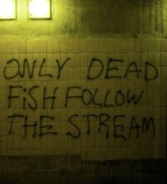 a sign that reads only dead fish follow the stream in black writing on a white brick wall