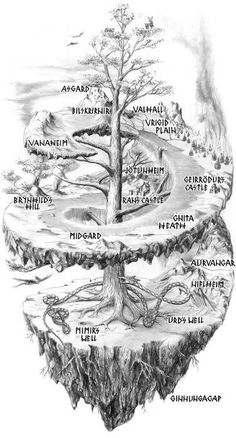 the tree of life with all its branches labeled in black and white, as well as names