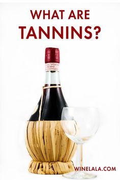 a bottle of wine sitting next to a glass with the words what are tanns?