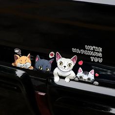 three stickers on the hood of a car with cats and kittens in front