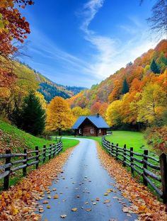 a road that has leaves on the ground and trees with fall colors in the background