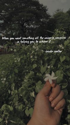 someone holding a flower in their hand with a quote on the backgroung