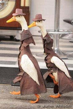 two birds dressed in brown and white standing next to each other