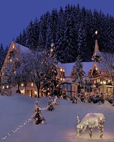 a christmas scene with lights and trees in the snow