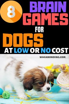 a puppy is playing with some toys on the floor and text reads 8 brain games for dogs at low or no cost