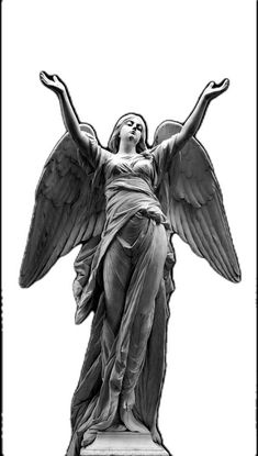 an angel statue with its wings spread out in front of a white background and black border