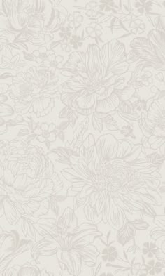 an image of a white flower wallpaper