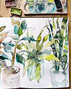 an artist's desk with watercolor paints and plants in vases on it