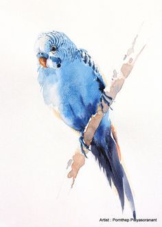 a watercolor painting of a blue parakeet perched on a branch with its beak open