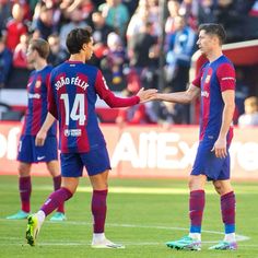 two soccer players are shaking hands on the field while people in the stands look on