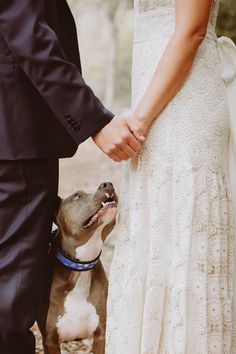 a man and woman holding hands with a dog