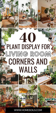 the top ten living room and dining rooms with text overlay that reads, 40 plant display for living room corners and walls