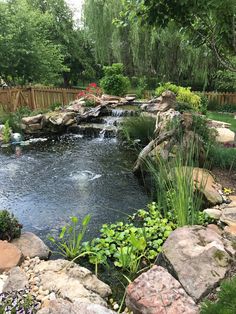 a small pond in the middle of a garden with lots of rocks and plants around it