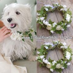 a white dog wearing a flower crown sitting on top of a table next to a wreath