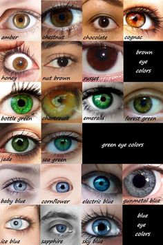 many different colored eyes are shown in this image, with the caption's description below