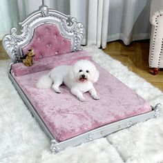 a small white dog laying on top of a pink bed