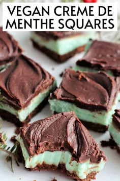 vegan creme de menthe squares on a white plate with chocolate and mint