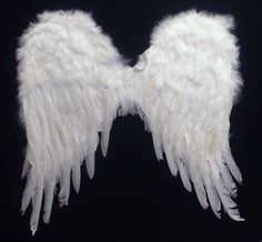 two white angel wings on a black background